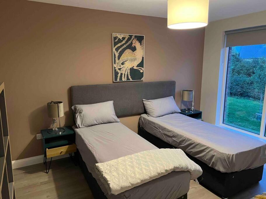 3 Bed Rooms Vip Family House Dublin Zewnętrze zdjęcie