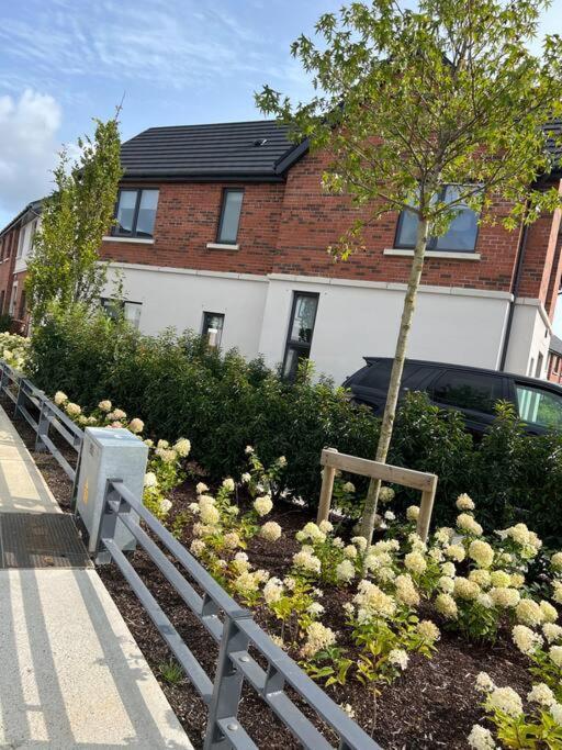 3 Bed Rooms Vip Family House Dublin Zewnętrze zdjęcie
